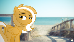 Size: 4588x2600 | Tagged: safe, artist:potato22, oc, oc only, oc:mareota, irl, looking at you, photo, ponies in real life, solo