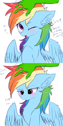 Size: 1500x3000 | Tagged: safe, artist:heddopen, character:rainbow dash, oc, oc:anon, species:human, species:pegasus, species:pony, angry, blushing, chest fluff, cute, dashabetes, dialogue, ear fluff, hand, heart eyes, one eye closed, petting, tsunderainbow, tsundere, wingding eyes, wings