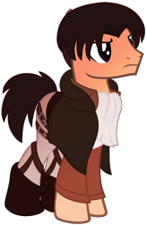 Size: 1024x1558 | Tagged: safe, artist:leanne264, species:earth pony, species:pony, attack on titan, clothing, levi ackerman, male, ponified, simple background, solo, stallion, transparent background
