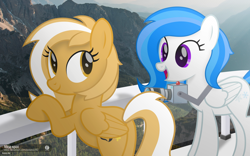Size: 4420x2750 | Tagged: safe, artist:potato22, oc, oc only, oc:mareota, oc:winter white, duo, irl, photo, ponies in real life
