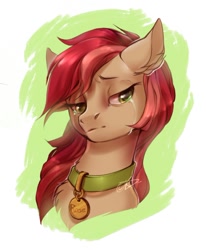 Size: 530x643 | Tagged: safe, artist:kerydarling, character:roseluck, species:earth pony, species:pony, bust, chest fluff, collar, crying, digital art, ear fluff, female, fluffy, mare, pet tag, pony pet, portrait, rosepet, sad, solo