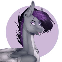 Size: 4000x4000 | Tagged: safe, artist:lastaimin, oc, oc only, oc:timmy, species:pegasus, species:pony, male, simple background, solo, stallion, transparent background