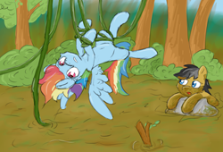 Size: 4424x3010 | Tagged: safe, artist:pzkratzer, character:quibble pants, character:rainbow dash, ship:quibbledash, belly button, bondage, colored sketch, crash, dirty, everfree forest, fail, female, jungle, male, mud, not quicksand, shipping, sketch, straight, swamp, tangled up, vine