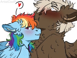 Size: 1461x1105 | Tagged: safe, artist:artistcoolpony, character:dumbbell, character:rainbow dash, species:pegasus, species:pony, ship:dumbdash, :t, blushing, cheek fluff, chest fluff, ear fluff, embarrassed, female, floppy ears, fluffy, freckles, grin, heart, lidded eyes, male, mare, nuzzling, shipping, shoulder fluff, simple background, smiling, spread wings, stallion, straight, white background, wide eyes, wing fluff, wings