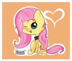 Size: 3424x2900 | Tagged: safe, artist:joemasterpencil, character:fluttershy, cat, collar, female, heart, pet, simple background, solo, species swap
