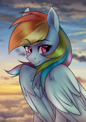 Size: 2894x4093 | Tagged: safe, artist:chickenbrony, character:rainbow dash, species:pegasus, species:pony, big wings, cloud, female, solo, wings
