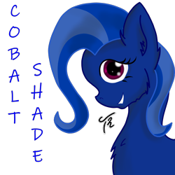 Size: 2000x2000 | Tagged: safe, artist:tunrae, oc, oc:cobalt shade, species:pony, english, looking at you, side view, simple background, solo, transparent background