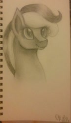 Size: 823x1418 | Tagged: safe, artist:shadow-nights, oc, oc only, species:pony, bust, female, mare, notebook, paper, signature, simple background, smiling, solo, traditional art, white background