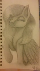 Size: 798x1417 | Tagged: safe, artist:shadow-nights, oc, oc only, species:pegasus, species:pony, female, folded wings, mare, notebook, one eye closed, paper, signature, simple background, smiling, solo, traditional art, white background, wings, wink