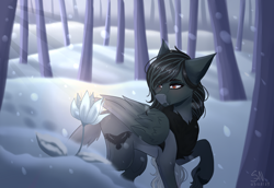 Size: 3580x2460 | Tagged: safe, artist:shadow-nights, oc, oc only, oc:pandie, species:pegasus, species:pony, commission, fangs, female, flower, forest, mare, red eyes, snow, snowfall, solo, tree, winter, ych result