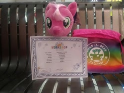 Size: 720x542 | Tagged: safe, artist:ponylover88, character:cheerilee, species:earth pony, species:pony, build-a-bear, irl, photo, plushie, solo