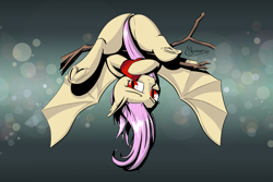 Size: 6000x4000 | Tagged: safe, alternate version, artist:madgehog, character:flutterbat, character:fluttershy, species:bat pony, species:pegasus, species:pony, episode:hearts and hooves day, g4, my little pony: friendship is magic, bat ponified, colored, female, holiday, looking at you, mare, race swap, shy, solo, spread legs, spread wings, spreading, underhoof, upside down, valentine, valentine's day, valentine's day card, vampire, wings