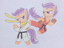 Size: 1024x768 | Tagged: safe, artist:don2602, character:scootaloo, species:pegasus, species:pony, black belt, capcom, clothing, crossover, duo, duo female, female, fingerless gloves, gi, gloves, karate, ken, makoto, ponidox, robe, self ponidox, street fighter, traditional art, trousers
