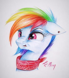 Size: 1024x1160 | Tagged: safe, artist:lailyren, artist:moonlight-ki, character:rainbow dash, species:pony, clothing, colored pencil drawing, disgusted, ear piercing, piercing, reaction image, scarf, traditional art