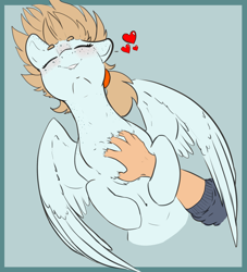 Size: 2000x2200 | Tagged: safe, artist:cold blight, oc, oc only, oc:cold blight, species:human, species:pegasus, species:pony, beanbrows, behaving like a dog, belly button, bellyrubs, blue background, blushing, body freckles, chest fluff, cute, ear freckles, eyebrows, eyes closed, female, floppy ears, freckles, grin, hand, heart, human on pony petting, lip bite, mare, ocbetes, on back, petting, scratching, simple background, sleeping, smiling, solo focus, spoken heart, spread wings, waking up, wing fluff, wings