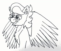 Size: 1440x1224 | Tagged: safe, artist:summerium, oc, oc only, oc:summer lights, species:pegasus, species:pony, glasses, grin, male, photo, smiling, traditional art, wings