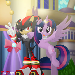 Size: 1600x1600 | Tagged: safe, artist:brodogz, character:twilight sparkle, character:twilight sparkle (alicorn), species:alicorn, species:pony, commission, crossover, shadow the hedgehog, sonic the hedgehog (series)
