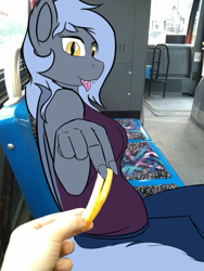 Size: 1530x2040 | Tagged: safe, artist:darnelg, oc, oc:panne, species:anthro, species:bat pony, bus, female, food, irl, looking at you, photo, ponies in real life, stock image, tongue out