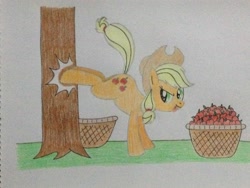Size: 3264x2448 | Tagged: safe, artist:don2602, character:applejack, species:earth pony, species:pony, apple tree, applebucking, basket, blep, bucking, female, looking back, solo, tongue out, traditional art, tree