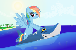 Size: 5550x3700 | Tagged: safe, artist:galekz, character:rainbow dash, species:pony, beach, bedroom eyes, floaty, inflatable, inflatable toy, ocean, pool toy, riding, shark, wanna ride?