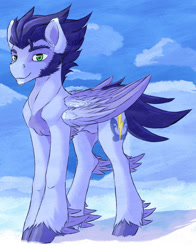 Size: 800x1020 | Tagged: safe, artist:thatonegib, character:soarin', species:pegasus, species:pony, cloud, colored feathertips, eyebrows, feathered hooves, folded wings, green eyes, looking at you, male, redesign, sideburns, signature, solo, stallion, unshorn fetlocks, wings
