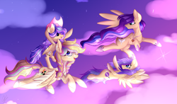 Size: 5254x3092 | Tagged: safe, artist:xxmelody-scribblexx, oc, oc only, oc:melody scribble, species:pegasus, species:pony, clothing, female, filly, flying, hat, mare, night