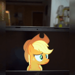 Size: 720x720 | Tagged: safe, artist:stormxf3, character:applejack, species:pony, abuse, animated, apple, applejack's hat, bonk, clothing, cowboy hat, food, funny, hat, irl, jackabuse, photo, sound, this will end in angry countryisms, webm