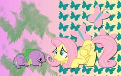 Size: 900x563 | Tagged: safe, artist:alicehumansacrifice0, character:fluttershy, character:spike, species:dragon, species:pegasus, species:pony, ship:flutterspike, butterfly, concerned, cutie mark, female, looking at each other, male, mare, shipping, sick, straight, wallpaper