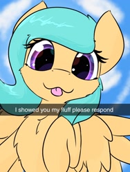 Size: 1536x2048 | Tagged: safe, artist:jubyskylines, oc, oc only, oc:mango foalix, species:pony, chest fluff, cute, fluffy, meme, snapchat, solo, tongue out