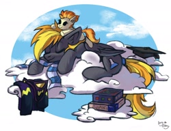 Size: 2600x2000 | Tagged: safe, artist:amy-gamy, character:spitfire, oc, oc:blaze (shadowbolt), oc:enquiring essence, species:pegasus, species:pony, clothing, cloud, costume, female, lying down, lying on a cloud, on a cloud, plushie, scarf, shadowbolts, shadowbolts costume, sleeping, sleeping on a cloud, solo