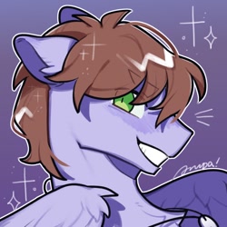 Size: 800x800 | Tagged: safe, artist:snowillusory, oc, species:pegasus, species:pony, bust, collar, eye clipping through hair, green eyes, grin, icon, male, pegasus oc, raffle prize, side view, smiling, sparkles, stallion