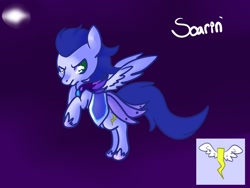Size: 1024x768 | Tagged: safe, artist:cotton, character:soarin', irc