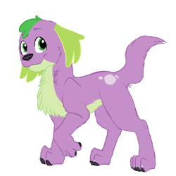 Size: 1000x1000 | Tagged: safe, artist:catlover1672, character:spike, character:spike (dog), species:dog, my little pony:equestria girls, chest fluff, male, missing accessory, simple background, solo, white background
