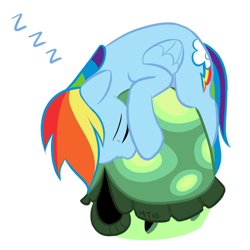 Size: 700x700 | Tagged: safe, artist:empty-10, character:rainbow dash, character:tank, species:pegasus, species:pony, g4, duo, female, mare, pet, photoshop, simple background, sleeping, white background, zzz