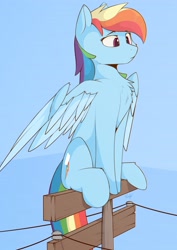 Size: 2404x3400 | Tagged: safe, artist:renderpoint, character:rainbow dash, species:pegasus, species:pony, behaving like a bird, chest fluff, female, mare, perching, solo, telephone pole