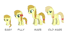 Size: 9500x4500 | Tagged: safe, artist:northernthestar, oc, oc only, oc:lassie jack, species:earth pony, species:pony, age progression, baby, elderly, female, filly, generations, mare, progression, vector