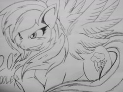 Size: 1280x960 | Tagged: safe, artist:petanoprime, character:rainbow dash, species:pegasus, species:pony, 20% cooler, female, grin, lineart, mare, smiling, solo, text, traditional art