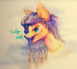 Size: 2564x2278 | Tagged: safe, artist:angusdra, oc, oc only, species:pony, bust, solo, traditional art, watercolor painting