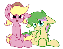 Size: 1550x1200 | Tagged: safe, artist:nevaylin, oc, oc only, oc:harmonic tune, oc:harmony star, species:earth pony, species:pegasus, species:pony, 2020 community collab, derpibooru community collaboration, clothing, cute, harmonycon, hat, looking at you, lying down, male, simple background, sitting, transparent background