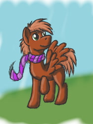 Size: 960x1280 | Tagged: safe, artist:bryastar, oc, oc:frenz, species:pegasus, species:pony, clothing, looking up, scarf, simple background, solo