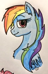 Size: 782x1200 | Tagged: safe, artist:shinycyan, character:rainbow dash, species:pegasus, species:pony, g5 leak, leak, bust, rainbow dash (g5), redesign, traditional art, wings