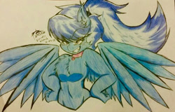 Size: 599x383 | Tagged: safe, artist:petanoprime, oc, oc only, oc:electric sketch, species:anthro, species:pegasus, species:pony, chest fluff, cleavage fluff, collar, ear fluff, female, grin, pegasus oc, signature, smiling, solo, spread wings, traditional art, wings