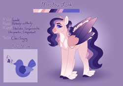 Size: 3500x2454 | Tagged: safe, artist:clay-bae, oc, oc:meadow lark (clay-bae), parent:fluttershy, parent:rarity, parents:flarity, species:pegasus, species:pony, feathered fetlocks, female, magical lesbian spawn, mare, offspring, reference sheet, solo, two toned wings, wings