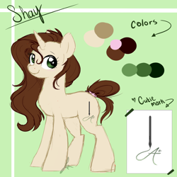 Size: 3000x3000 | Tagged: safe, artist:beashay, oc, oc:shay, species:pony, species:unicorn, female, high res, mare, reference sheet, solo