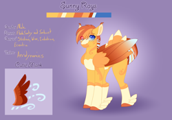 Size: 3500x2454 | Tagged: safe, artist:clay-bae, oc, oc:sunny rays, parent:flash sentry, parent:sunburst, parents:flashburst, species:pegasus, species:pony, feathered fetlocks, magical gay spawn, male, offspring, reference sheet, solo, stallion