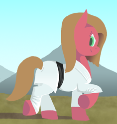 Size: 618x658 | Tagged: safe, artist:crispokefan, oc, oc:pun, species:earth pony, species:pony, ask pun, ask, black belt, clothing, female, gi, karate, mare, martial arts, robe, solo, trousers
