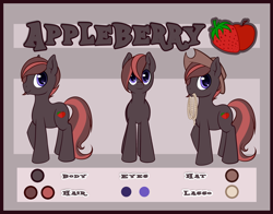 Size: 800x626 | Tagged: safe, artist:pingwinowa, oc, oc:appleberry, species:earth pony, species:pony, clothing, hat, lasso, male, reference sheet, rope, solo