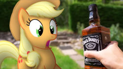 Size: 1280x720 | Tagged: safe, artist:stormxf3, character:applejack, species:earth pony, species:pony, alcohol, applejack daniel's, irl, jack daniels, open mouth, outdoors, photo, ponies in real life, shocked expression, youtube