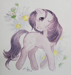 Size: 640x670 | Tagged: safe, artist:creeate97, character:blossom, species:earth pony, species:pony, g1, blossom, blossom (g1), female, flower, looking at you, mare, simple background, solo, traditional art, watercolor painting, white background