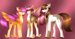 Size: 4348x2293 | Tagged: safe, artist:clay-bae, character:pipsqueak, character:scootaloo, oc, oc:camo feather, parent:pipsqueak, parent:scootaloo, parents:scootasqueak, species:earth pony, species:pegasus, species:pony, colored hooves, colored wings, colored wingtips, feathered fetlocks, female, high res, male, offspring, scootasqueak, shipping, straight